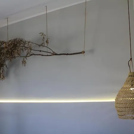 Willa Clicla - Pool, Sea,hommock Swing And Laziness *