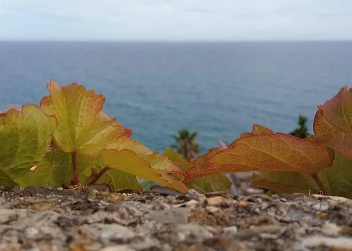 Clicla - Pool, Sea,hommock Swing And Laziness Willa Imperia